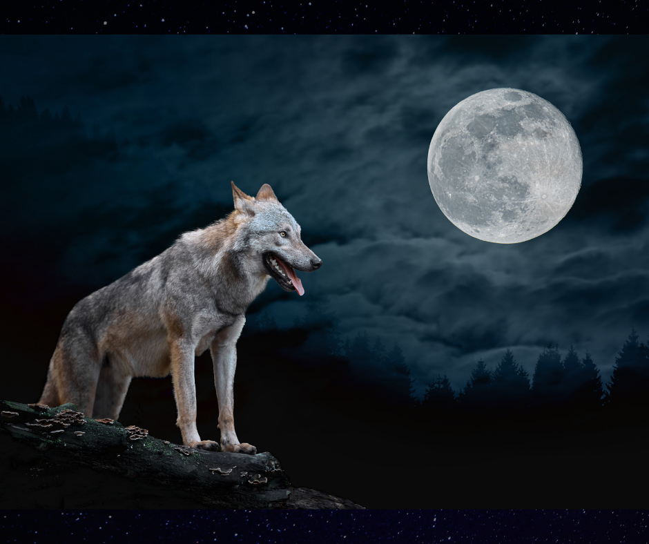 Arrête d'avoir peur!